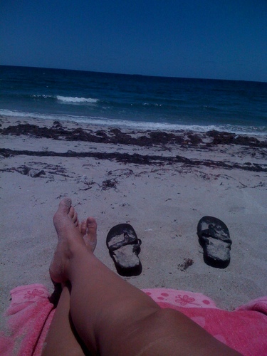 BeachGirl_V Profile Picture