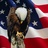 fnAMERICA's profile image