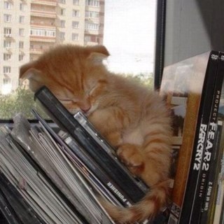 ohkawara_21's profile picture. 