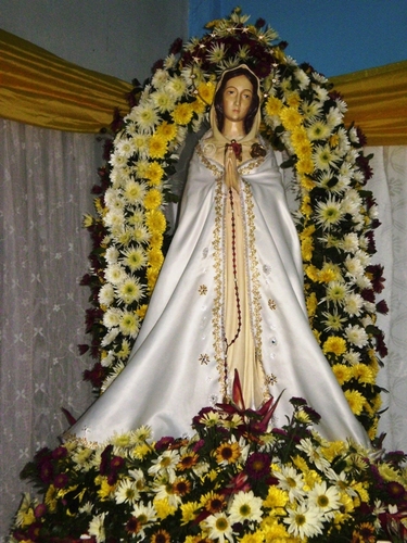 rosamisticapy's profile picture. 