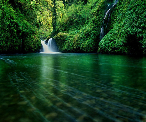 JOrtus1511's profile picture. 🏘 Huntsville
🏡 Realtor
🍽 Home Chef
🏆Ardent Sports Fan