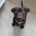 Justin Westcott - @sailjust - Twitter