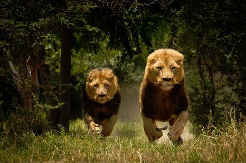 Smart+ Strong = powerful minds