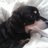 Luis Jato (@luis_jato) Twitter profile photo