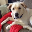 Jamie Blom - @tuckerblom - Twitter