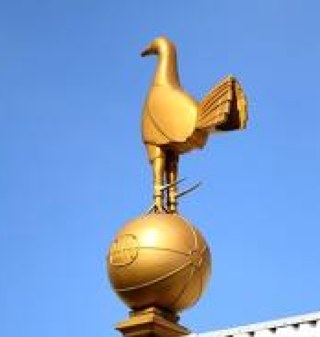 irritableshep's profile picture. Its all bollocks.