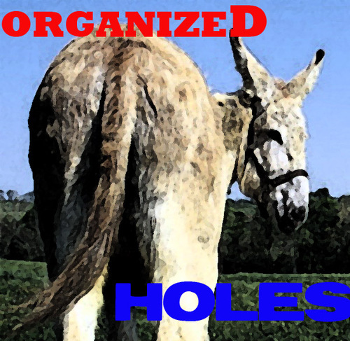 ok...fucked up on the last page lol...anyway Organized Azzholes...HIGHEST GOOD affiliates Music/upcoming Skate team/graphic design/ whatever the fuck we want