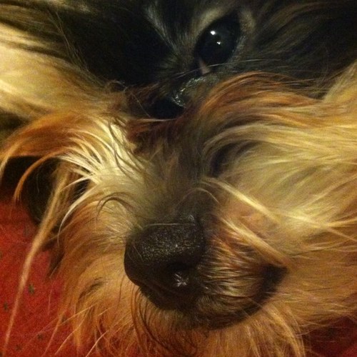 Dylan__Lewis's profile picture. 