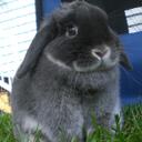 Paul Neubert - @paneubert - Twitter