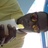 gordon_gavin's profile image