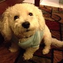 Marion Ramirez - @marmarmarie - Twitter