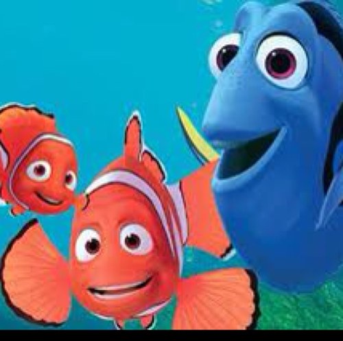 FindingNemo42's profile picture. 