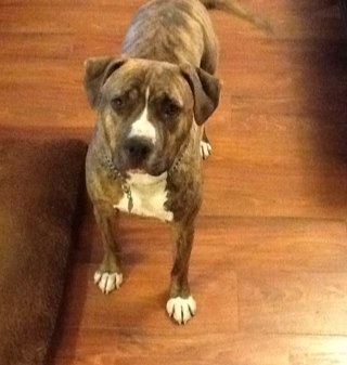 FrnchmanMark's profile picture. 