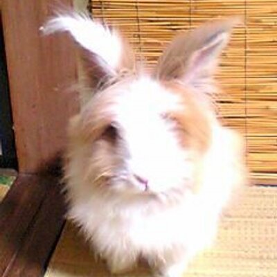 Usamaru Fuck You ぶち殺すぞ この野郎 勝たなきゃゴミだ このセリフが 強烈に頭に残ってる 笑 香川照之が良すぎる 今週金曜日から公開の カイジ楽しみ