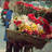10Amoon's profile image