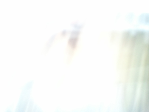 RajDishnet's profile picture. 