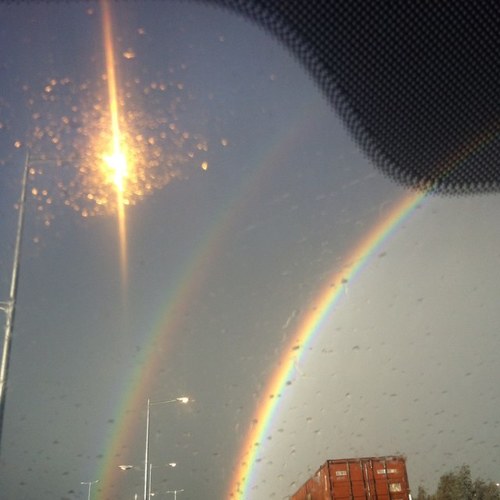 MaskyBall's profile picture. 