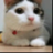 acc102's profile image