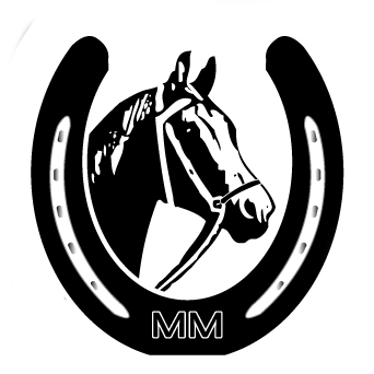 Manege de Mustang - Zuid-Beijerland. Waar plezier en prestatie elkaar ontmoeten! Schoutsdijk 22, Zuid-Beijerland. info@manegedemustang.nl 0186-661557 #DeMustang