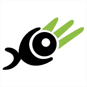 Development and Web Design : : Virtual 3D Tours and animations