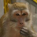 Thomas Wind 🇺🇦 - @trwind1982 - Twitter