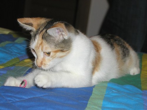 masal2380's profile picture. 