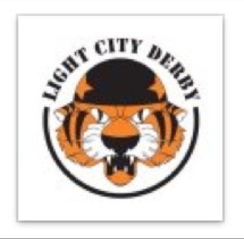 LightCityDerby's profile picture. Adelaide's First Mixed Gender Roller Derby League