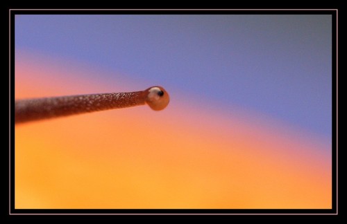 WerkcoachBenKa's profile picture. Ben werkcoach UWV Lelystad en gebruikt twitter om mijn klanten met een WW-uitkering weer aan het werk te krijgen. Bijna allemaal 55-plussers.