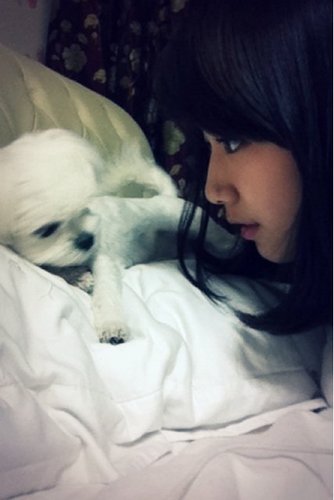 ☆Park Shin Hye's here~☆ ♡@KpopStar_RP♡ saeng:  Ara ♡ oppa: OkTaec ♡