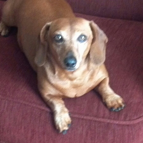 paulf62's profile picture. 