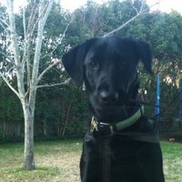 blarkin (@blarkin18) 's Twitter Profile