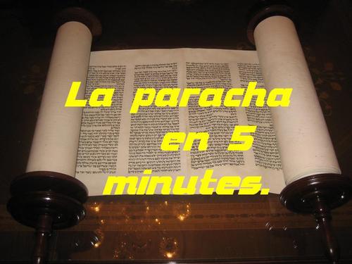 Chaque semaine une vidéo de 5 minutes sur la paracha de la semaine !