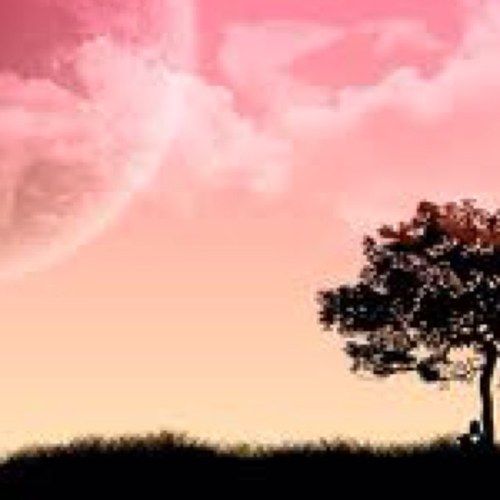 mzn_alrooh's profile picture. 