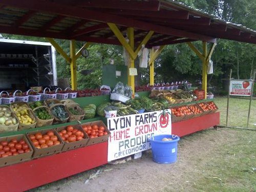 Local farm fresh produce in your urban backyard
