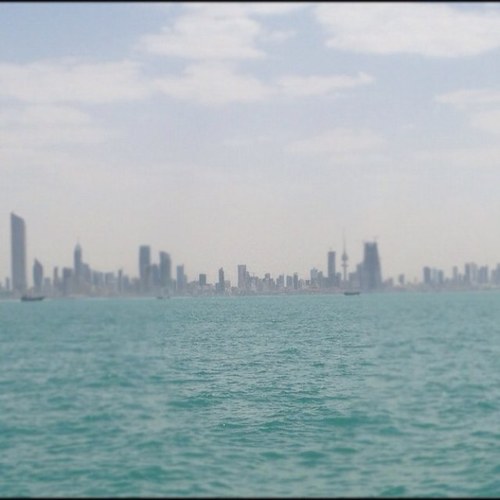 Coastal_KW's profile picture. Assistant Professor - Kuwait University