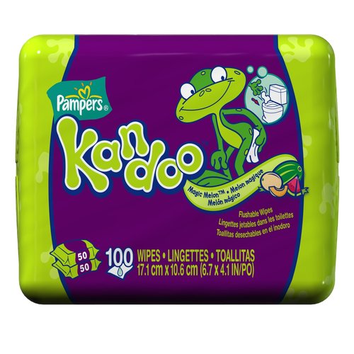 When your tot goes to the pot, don't assume it's okay to let them use toilet paper! Get a box of septic-friendly wipes!