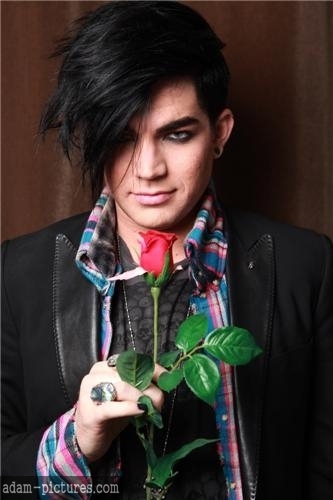 An open-minded, soon 15 year old girl from Estonia. A hopeless glambert since 11th october 2010. I also love Queen, summer, dogs and acting!