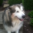 Matt Hammack - @matthammack - Twitter