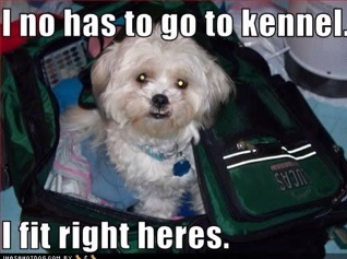 Simply a twitter page dedicated to shedding light on the ongoings in an average kennel. #kennelprobs
Oh. I #followback.