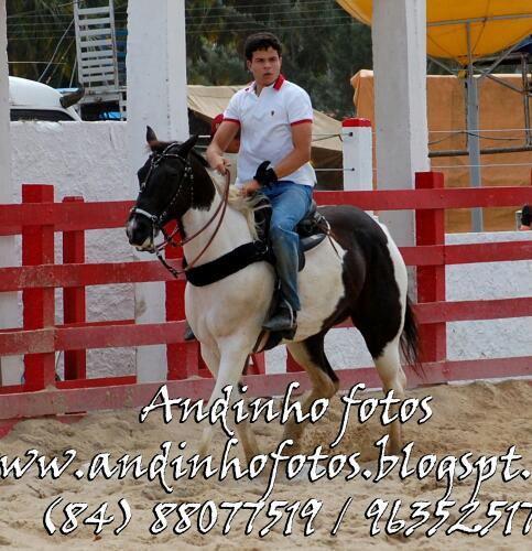 Norte Riograndense, católico, estudante, botafoguense, trabalhador e acima de tudo um Curraisnovense feliz!