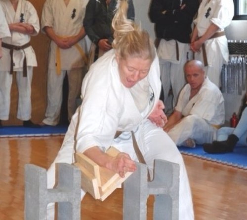 LouiseHoest's profile picture. Shodan - Kyokushin, direktør i Metroselskabet.