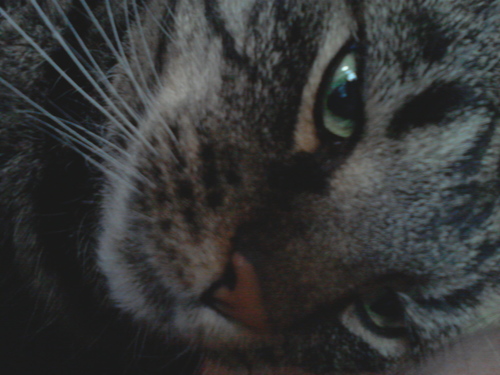 quicknotes1's profile picture. Notice my dead-pan face