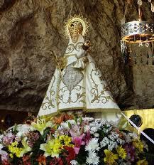 tejonana's profile picture. ama de casa y cabreada con los politicos y en contra de las injusticias