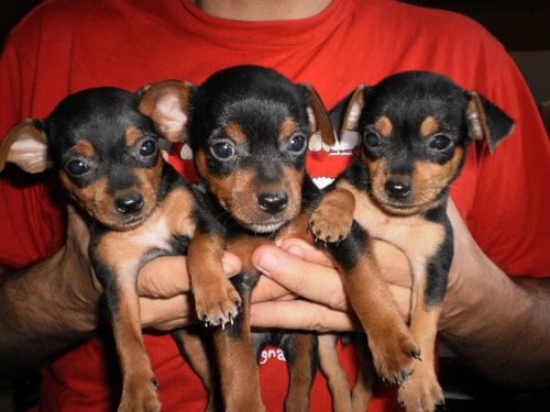 yleenvetyam's profile picture. 