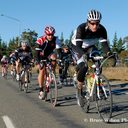 Dan Collis - @bow2it - Twitter