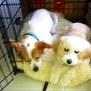 Marjorie Bernstein - @marjsells - Twitter