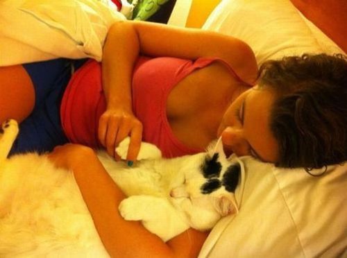 asyaasya81's profile picture. Жители г.Кирова и Кировской области! Помогите в распространении информации о бездомных животных! Может найдутся хорошие хозяева для этих пушистиков!