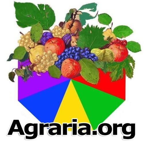 AgrariaOrg Profile Picture