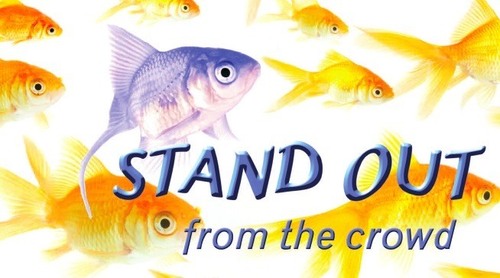 EffectiveEssay's profile picture. Coaching students to write successful college essays and medical/law/grad school personal statements using the best of narrative storytelling.