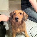 joan nielsen - @JoanLindgren - Twitter